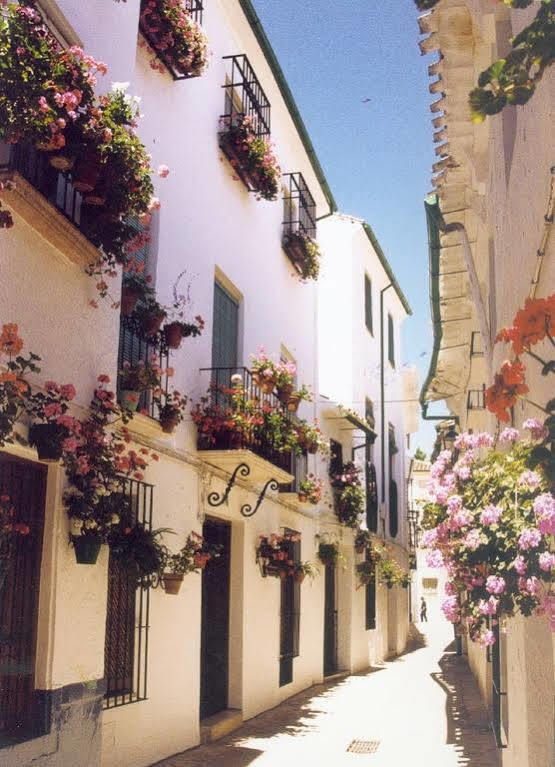La Posada Real Priego de Córdoba Eksteriør billede